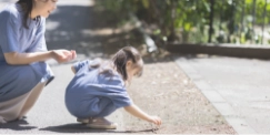 みなみ福祉会について